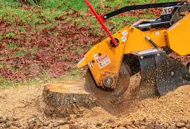 Mulching Services in Manawa, WI